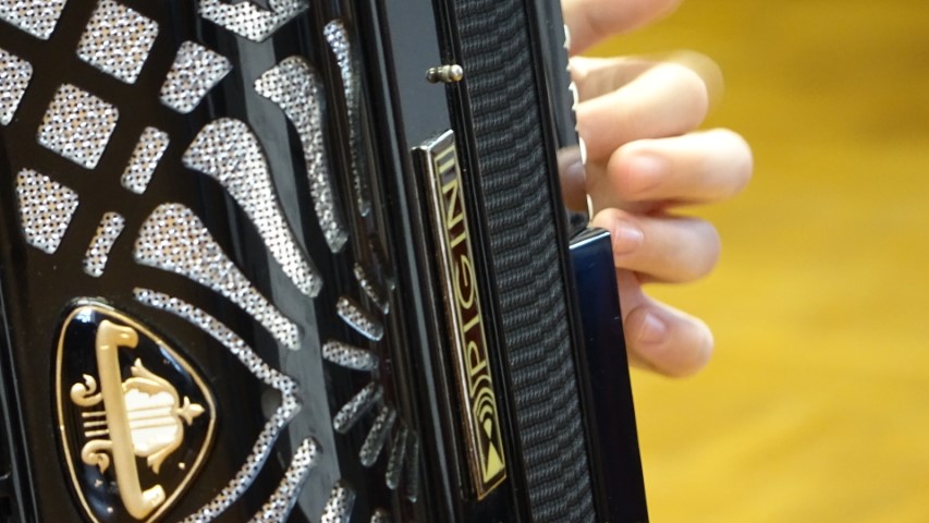 Harmonika in še kaj... 